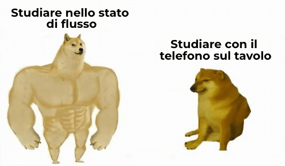 Stato di flusso meme